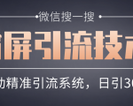 微信搜一搜霸屏引流技术,打造被动精准引流系统,轻松日引300+流量-风淘社