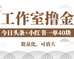 工作室撸金二件套:撸今日头条原创收益+小红书一单利润40块项目-风淘社