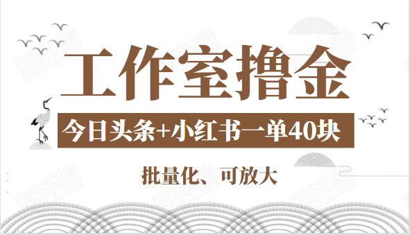 工作室撸金二件套:撸今日头条原创收益+小红书一单利润40块项目-风淘社