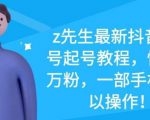 z先生最新抖音美女号起号教程,快速十万粉,一部手机就可以操作-风淘社