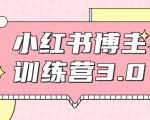 红商学院·小红书博主训练营3.0,实战操作轻松月入过万-风淘社