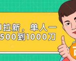 Paypal拉新赚美刀项目,单人一天利润500-1000刀【视频课程】-风淘社
