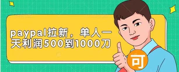 Paypal拉新赚美刀项目,单人一天利润500-1000刀【视频课程】-风淘社