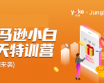 雨课·亚马逊小白特训营第9期 跨境电商挺赚钱的 有朋友已经月入几十万美金-风淘社