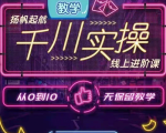 官网售价3980元的数据哥-千川实操进阶课【进阶版】 非基础版-风淘社