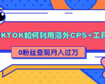 详细解析TIKTOK如何利用海外CPS+工具0粉丝轻松变现月入过万-风淘社
