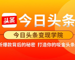 今日头条变现学院·打造你的吸金头条账号,打造10W+实操方法 价值2298元-风淘社