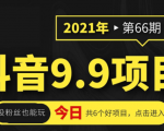 抖音9.9课程项目,没粉丝也能卖课,一天300+粉易变现-风淘社