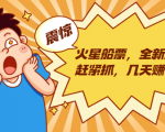 火星船票,全新风口赶紧抓,几天赚一万+摆地摊卖尾货月入一万(5个项目)-风淘社