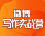 村西边老王·微博超级写作实战营，帮助你粉丝猛涨价值999元-风淘社