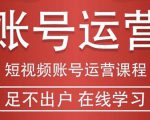短视频账号运营课程:从话术到短视频运营再到直播带货全流程,新人快速入门-风淘社