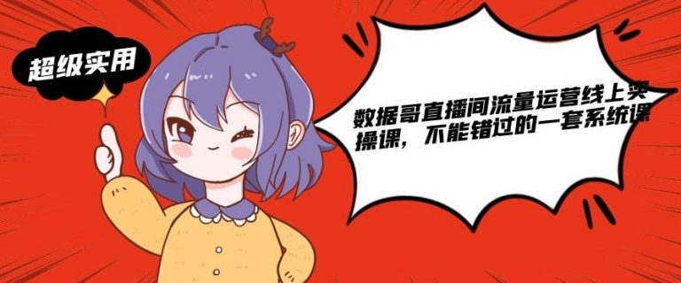 数据哥直播间流量运营线上实操课,不能错过的一套系统课-风淘社