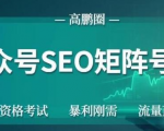 高鹏圈公众号SEO矩阵号群,实操20天纯收益25000+,普通人都能做-风淘社