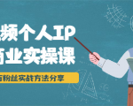 短视频个人IP商业实操课,百万粉丝实战方法分享,小白也能实现流量变现-风淘社