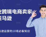 职业跨境电商卖家聊亚马逊:亚马逊运营的10项必备知识,12堂课让你看懂亚马逊运营-风淘社
