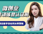 微创业全能训练营认证班课程,从理论知识与实际案例手把手指导创业新手如何从零到有-风淘社