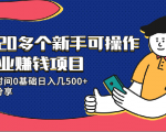 20多个新手可操作的副业赚钱项目:业余时间0基础日入几500+实操分享-风淘社