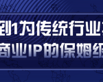 从0到1为传统行业打造抖音商业IP简单高效的保姆级攻略-风淘社