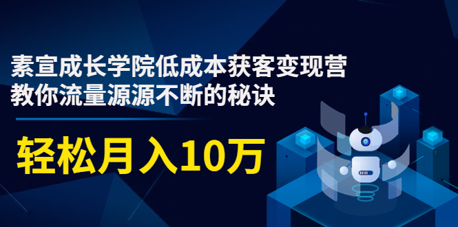 素宣成长学院低成本获客变现营,教你流量源源不断的秘诀,轻松月入10万-风淘社