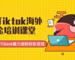 最新Tiktok海外掘金培训课堂:带你玩转Tiktok暴力涨粉轻松变现-风淘社