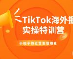 TikTok海外掘金实操特训营:手把手教运营变现赚钱-风淘社