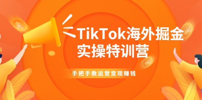 TikTok海外掘金实操特训营：手把手教运营变现赚钱-风淘社