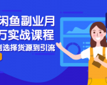 2021闲鱼副业月入过万实战课程:从开店到选择货源到引流,全程实战教学-风淘社