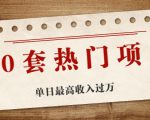 30套热门项目:单日最高收入过万 (网赚项目、朋友圈、涨粉套路、抖音、快手)等-风淘社