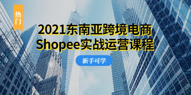 2021东南亚跨境电商Shopee实战运营课程,0基础、0经验、0投资的副业项目-风淘社