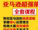 亚马逊超强落地实操全案课程:拒绝大量盲目铺货,日出千单不在话下-风淘社