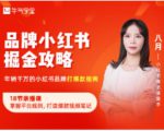 品牌小红书掘金攻略,年销千万的小红书品牌打爆款指南-风淘社