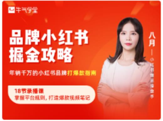 品牌小红书掘金攻略,年销千万的小红书品牌打爆款指南-风淘社