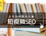 未来新趋势，布局短视频SEO，如何利用抖音SEO免费获得精准流量（3节课）-风淘社