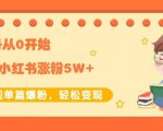 生财小红书涨粉变现:新账号从0开始3个月小红书涨粉5W+实现单篇爆粉-风淘社