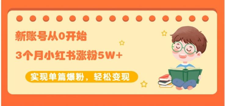 生财小红书涨粉变现:新账号从0开始3个月小红书涨粉5W+实现单篇爆粉-风淘社