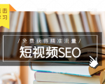 未来新趋势,布局短视频SEO,如何利用抖音SEO免费获得精准流量(3节课)-风淘社