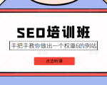 SEO培训班课程,手把手教你做出一个权重6的例站,价值8000元-风淘社