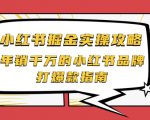 小红书掘金实操攻略,年销千万的小红书品牌打爆款指南-风淘社