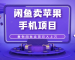 闲鱼卖苹果手机项目,教你闲鱼卖货月入上万-风淘社