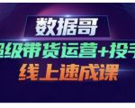 数据哥·超级带货运营+投手线上速成课,快速提升运营和熟悉学会投手技巧-风淘社
