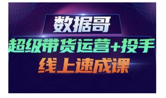 数据哥·超级带货运营+投手线上速成课,快速提升运营和熟悉学会投手技巧-风淘社