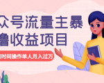 公众号流量主暴利撸收益项目,空闲时间操作单人月入过万-风淘社