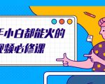 新手小白都能火的短视频必修课,教你三天就能上热门的短视频IP技术-风淘社
