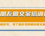 朋友圈文案培训课，听了就会写，写了就会卖的朋友圈文案课-风淘社