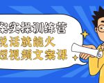 文案实操训练营,只说话就能火的短视频文案课-风淘社