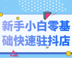 抖音小店新手小白零基础快速入驻抖店100%开通（全套11节课程）-风淘社