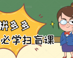 拼多多商家开店入门必学,0基础新手小白扫盲课(58节视频课程)-风淘社