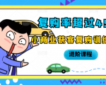 复购率超过45%,小商业获客复购训练营进阶课程-风淘社