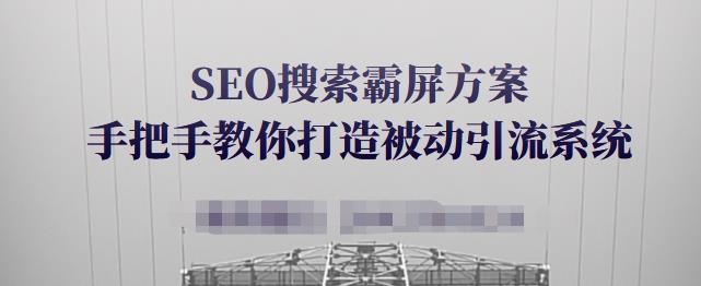 SEO搜索霸屏方案,手把手教你打造被动引流系统【视频课程】-风淘社