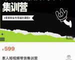 夜草与千里马素人短视频带货集训营,薛辉团队价值599-风淘社